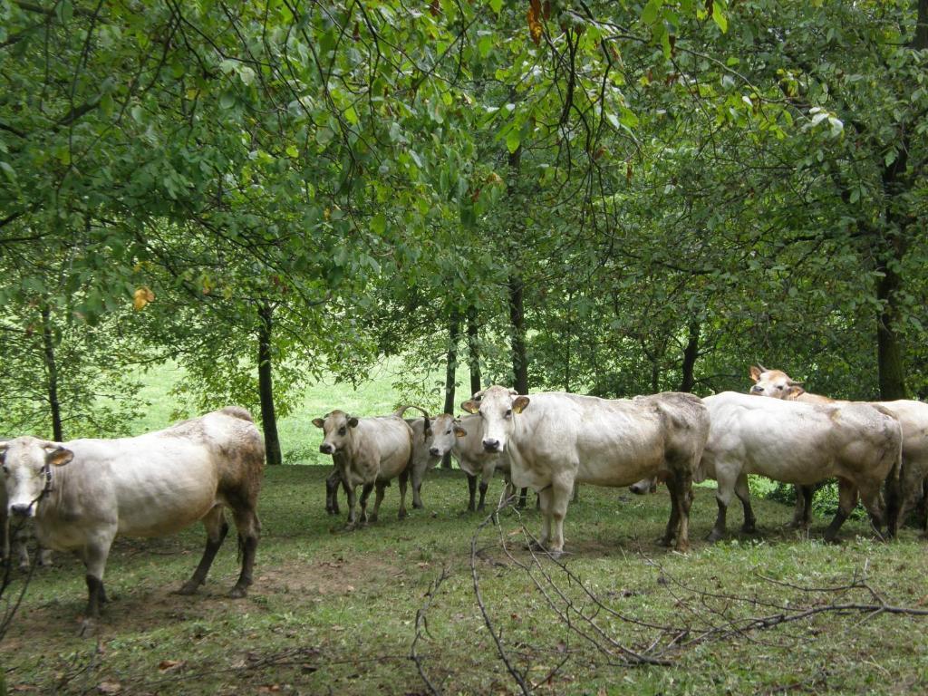Agriturismo La Meridiana Frabosa Sottana Bagian luar foto